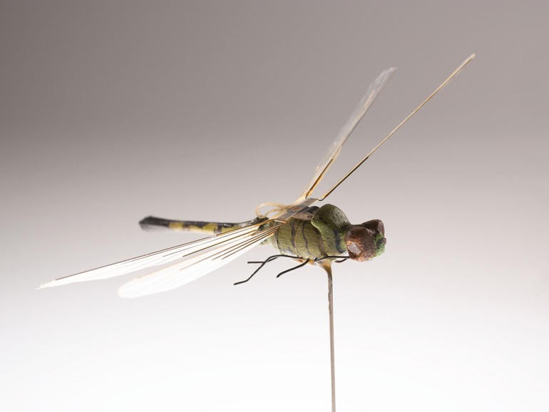  1. Dragonfly Insectothopter Dragonfly Insectothopter là thiết bị bay được thiết kế bởi bộ phận R&amp;D của CIA, trông giống như một con chuồn chuồn nhằm thu thập thông tin tình báo. Chuồn chuồn gián điệp có một động cơ vỗ cánh nhỏ và lỗ thông hơi để tăng lực đẩy phía sau. Trong các cuộc thử nghiệm, thiết bị hoạt động tốt nhưng chưa bao giờ được đưa vào sử dụng.